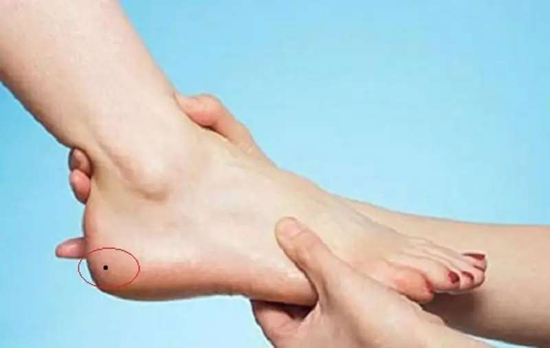 Giải mã điềm báo mơ thấy ruồi và tìm câu trả lời con ruồi số mấy.