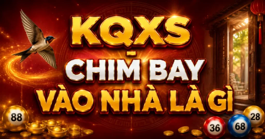 Chim bay vào nhà là điềm gì? Đánh số mấy theo từng loài chim