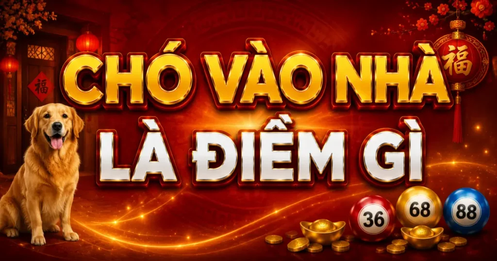 Chó vào nhà là điềm gì? Tốt hay xấu theo quan niệm dân gian
