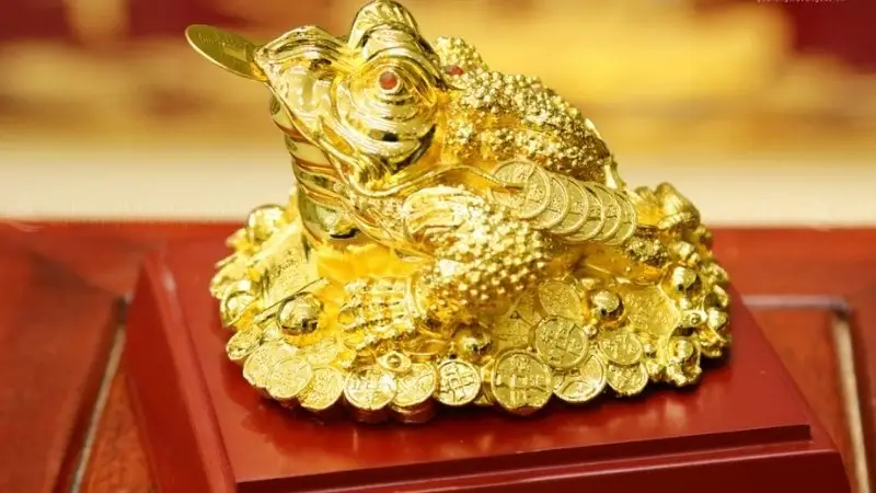 Cóc vào nhà là điềm gì trong phong thủy?