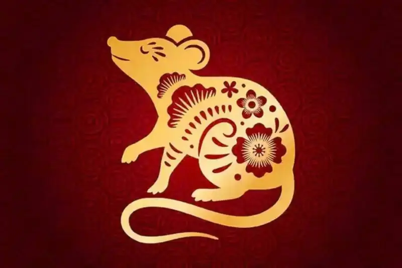 Người tuổi Tý sinh năm nào?