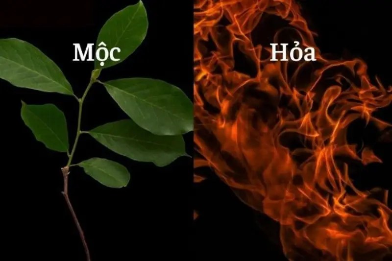 Số 03 hợp với mệnh nào?