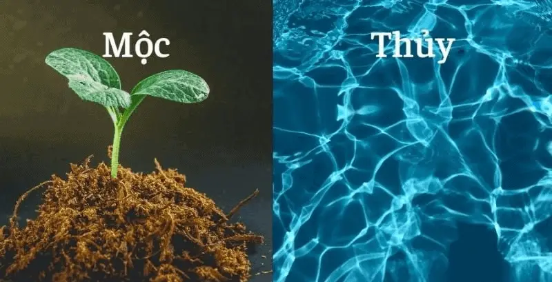 Số 13 hợp mệnh nào?