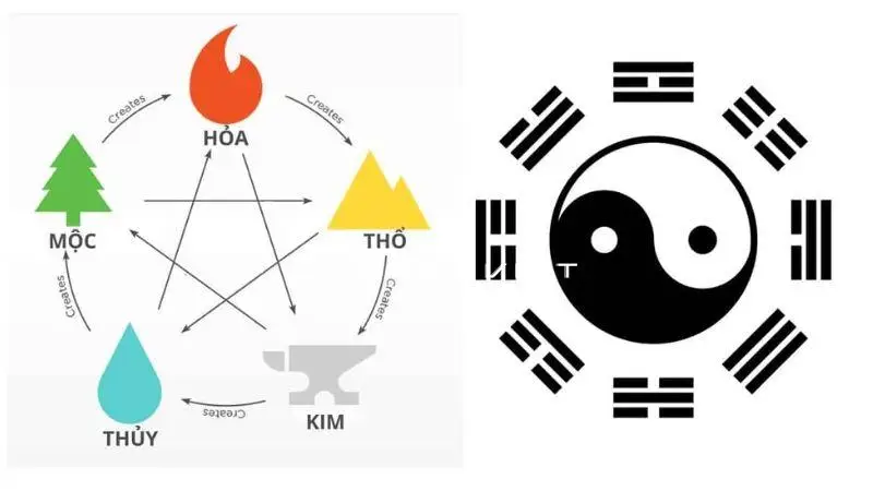 Dựa vào ngũ hành bản mệnh