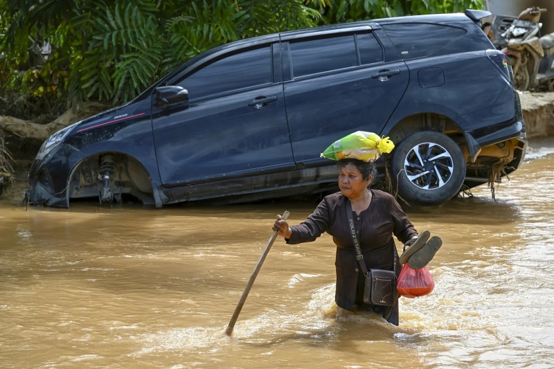 Gặp thiên tai đánh con gì bao ăn